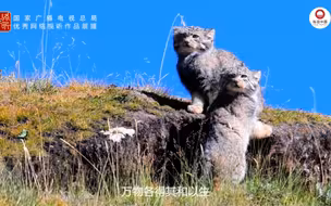 三江源国家公园