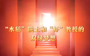 打破刻板印象，看“水稻”院士与“虾”教授如何跨界合作，实现绿色梦想！