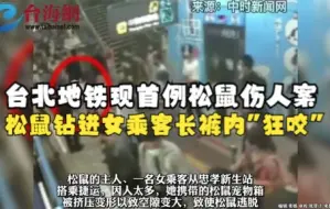 台北地铁现首例松鼠伤人案，宠物松鼠钻进女乘客长裤内“狂咬”