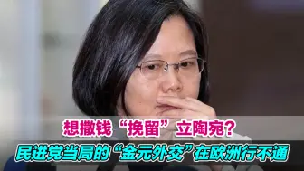 想撒钱“挽留”立陶宛？民进党当局的“金元外交”在欧洲行不通