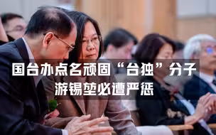 国台办点名顽固“台独”分子游锡堃必遭严惩