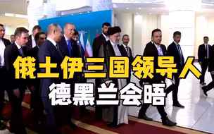 拜登中东行后，俄土伊三国领导人在德黑兰会晤