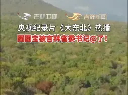 “低调的吉林到底还有多少种魔法？”央视纪录片《大东北》热播，圆圆宝被吉林省委书记点名了！一起听“她说”！