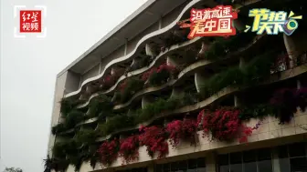 沿着高速看中国｜节拍天下：到成都仁寿黑龙潭 来一场亲子游