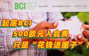 起底抵制新疆棉花的BCI标准