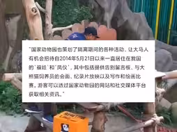 马来西亚:大熊猫凤仪福娃昨日开始隔离，五月回国，大马旅外大熊猫轮换，新一对大熊猫将于八月抵马，租期十年。