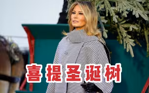 无视疫情，美国第一夫人梅拉尼娅喜提白宫圣诞树