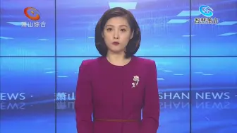 区人大常委会视察镇街工业园区分类发展情况