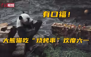 山东济南：大熊猫吃“烧烤串”欢度六一