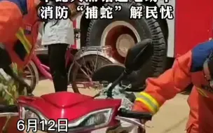6月12日，甘肃正宁。草蛇天热钻进电动车，消防“捕蛇”解民忧