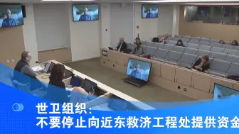 世卫组织：不要停止向近东救济工程处提供资金