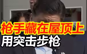 美国伊利诺伊州州长：枪手藏在屋顶上，用突击步枪射杀无辜的人