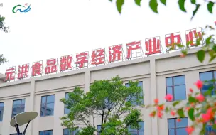 “走出去”“引进来”，东盟使节实地探访中印尼“两国双园”