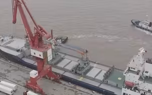 超2万吨秘鲁水果即将抵沪！首批钱凯港直航货物完成海关提前申报