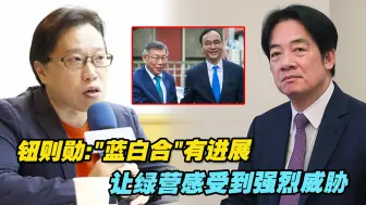 台湾教授钮则勋：“蓝白合”有进展，让绿营感受到强烈威胁