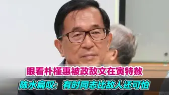 眼看朴槿惠被政敌文在寅特赦，陈水扁叹：有时同志比敌人还可怕