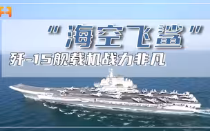 “海空飞鲨”！歼-15舰载战斗机，作战半径大载弹量多