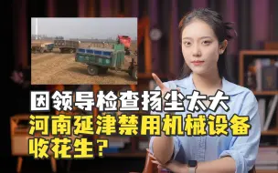 因领导检查、扬尘太大，河南延津禁用机械设备收花生？即使“被误解”也该反思