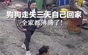 狗狗走失三天自己回家，全家都沸腾了！