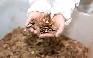 一袋袋一堆堆！海关查获穿山甲鳞片2.2吨 涉嫌走私窝点曝光