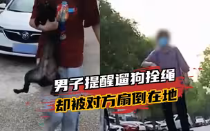 上海一男子提醒遛狗拴绳，被对方扇倒在地：已验伤报警