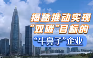 揭秘推动实现“双碳”目标的“牛鼻子”企业