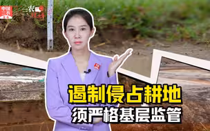 三农锐评丨耕地里种草、填埋废弃物  遏制侵占耕地必须严格基层监管