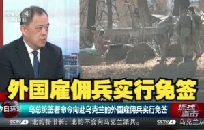 乌总统签署命令向赴乌克兰的外国雇佣兵实行免签