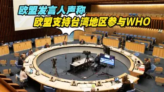 几个意思？欧盟发言人声称欧盟支持台湾地区参与WHO