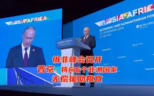 普京：俄罗斯将向6个非洲国家无偿援助粮食