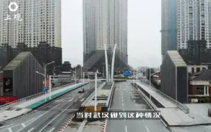 江城樱树下的重逢 | 武汉解封一周年报道第三集：安居乐业心所向