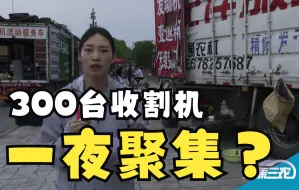 聚焦三农丨一夜间300辆收割机聚集？