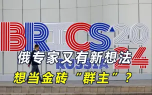 30国申请“入群”，俄罗斯产生新想法，想充当金砖组织“群主”？