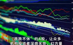 头部量化老大
