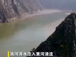 【黄河文化大会】“黄洮交汇”奇观，99%的人会认错黄河！