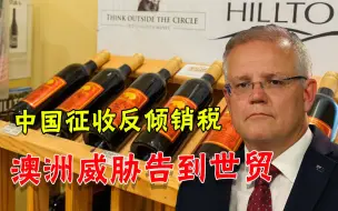 继大麦反倾销后，澳又要去世贸告状：不满中国对澳葡萄酒动手