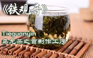 闽台非遗：品青茶之香气，观其之工序