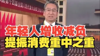白岩松：应把年轻人的增收减负列为提振消费的重中之重