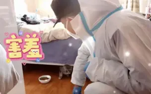 封闭管控，他们惦记起了别人家的“喵星人”