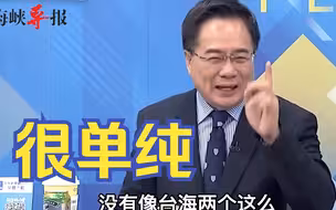 蔡正元：两岸没有利益之争，应该用政治解决台湾问题