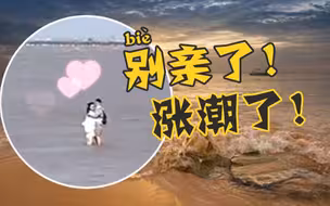涨潮中小情侣忘情热吻，保安撕心呐喊“别亲了！涨潮了！”