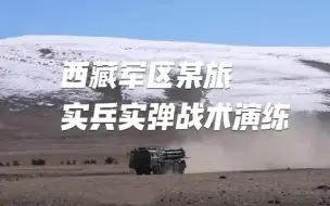 -20℃！看西藏官兵实弹演练