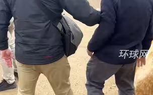 78岁澳大利亚前外交官想当面指出莫里森错误，遭随行保镖“粗暴对待”
