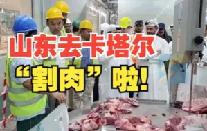 卡塔尔世界杯中央厨房“大揭密” 肉类分割设备来自山东
