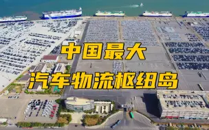 中国最大汽车物流枢纽岛 预计年通过能力超200万辆