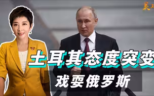 有好处就捞，土耳其“涮”了普京一把，突然对芬兰瑞典松口