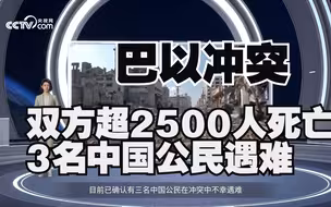 双方超2500人死亡 3名中国公民遇难 透视巴以冲突 小C关注前线战况
