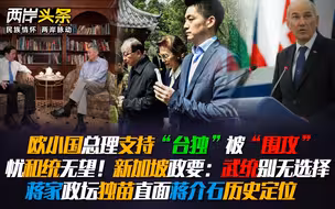 欧小国总理挺