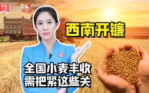 三农锐评丨西南开镰 全国小麦丰收还需把紧最后几道关