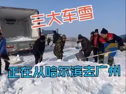 三大车雪正在从哈尔滨去广州的路上 “随便玩！堆雪人打雪仗都可以！”